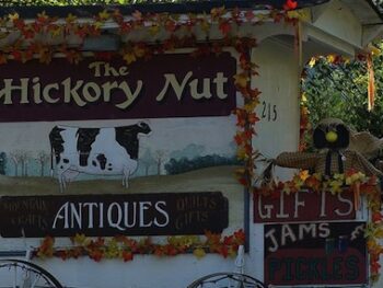 The Hickory Nut Antique Shop