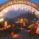 Flowering Bridge Christmas Lights