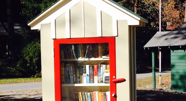 Lake Lure Little Free Library