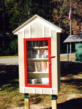 Little Free Library Lake Lure NC