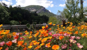 Lake Lure Flowering Bridge