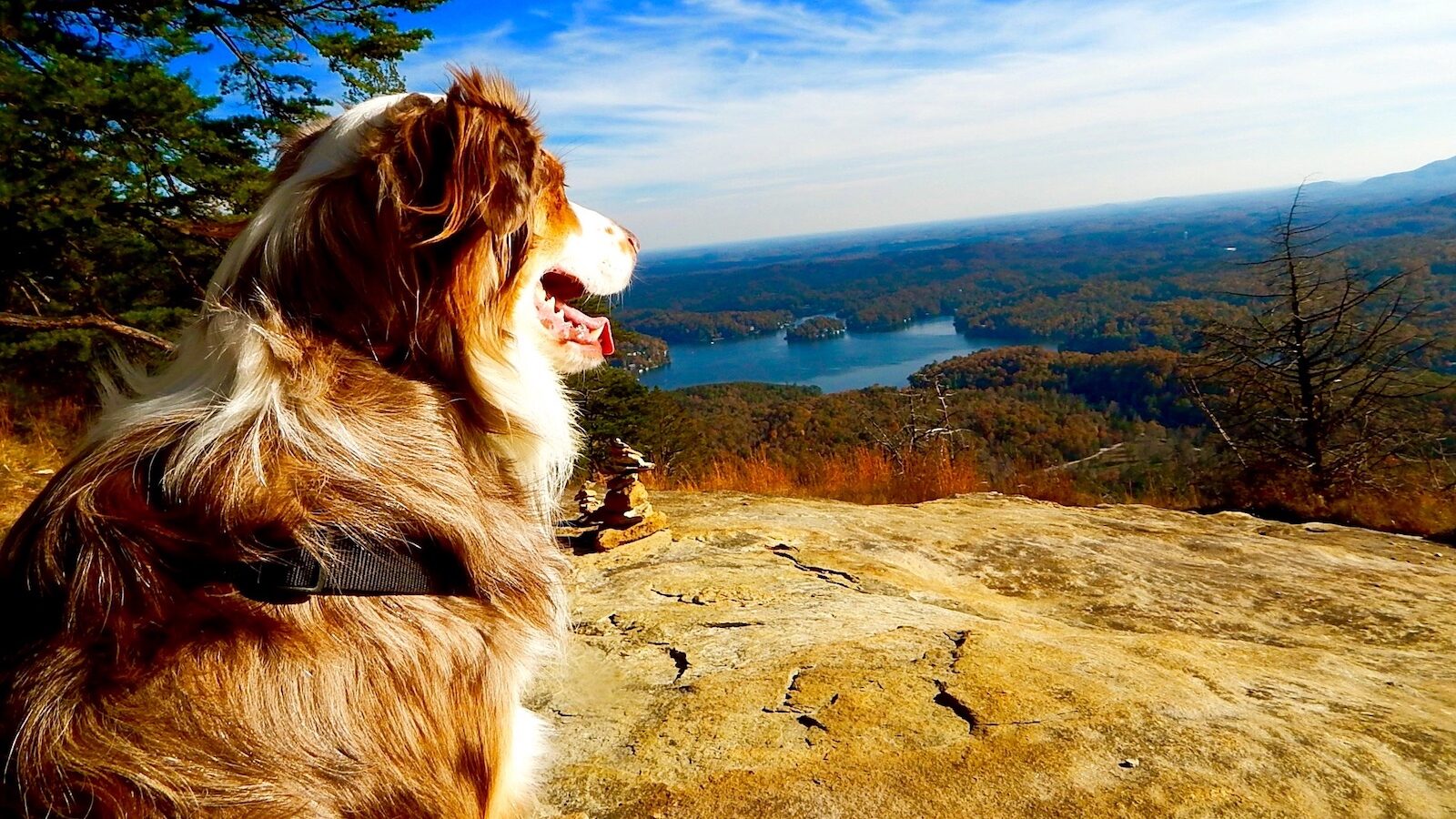 Gunner on Party Rock in Lake Lure, NC